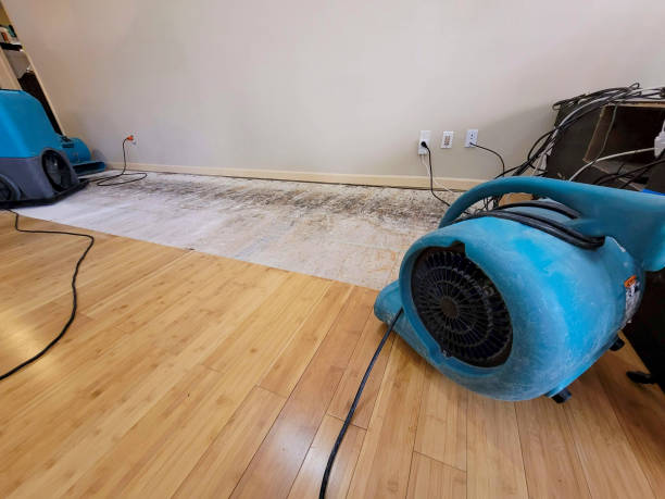 Professional Water Removal technician working in Kingwood, TX